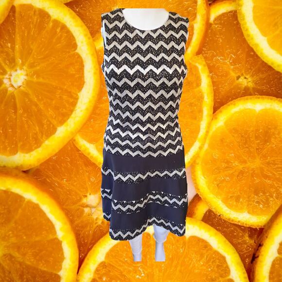 Betsy &‎ Adam Black and Silver Chevron Sequin Sleeveless Dress Size 8 - Picture 1 of 7